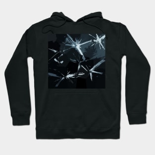 Crystal Stars Hoodie